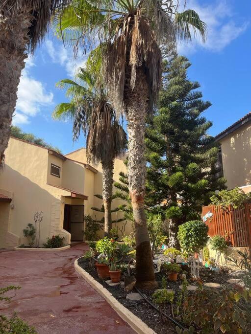 Casa Cactus Paraiso Parque Holandes Ngoại thất bức ảnh