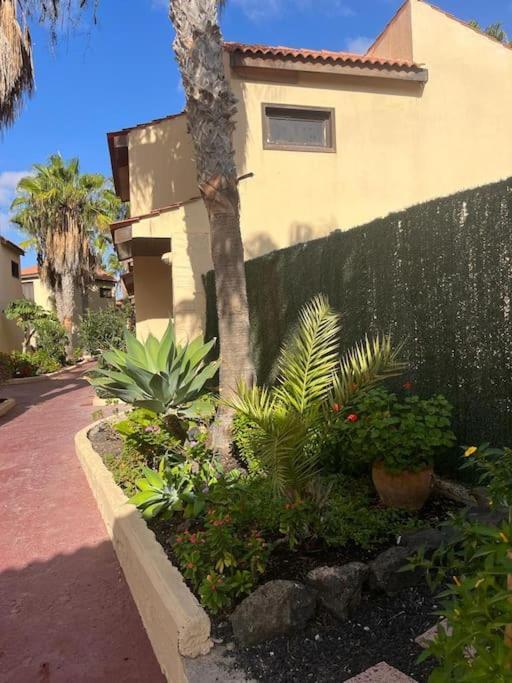 Casa Cactus Paraiso Parque Holandes Ngoại thất bức ảnh