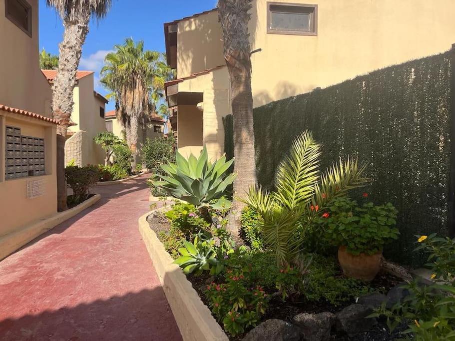 Casa Cactus Paraiso Parque Holandes Ngoại thất bức ảnh