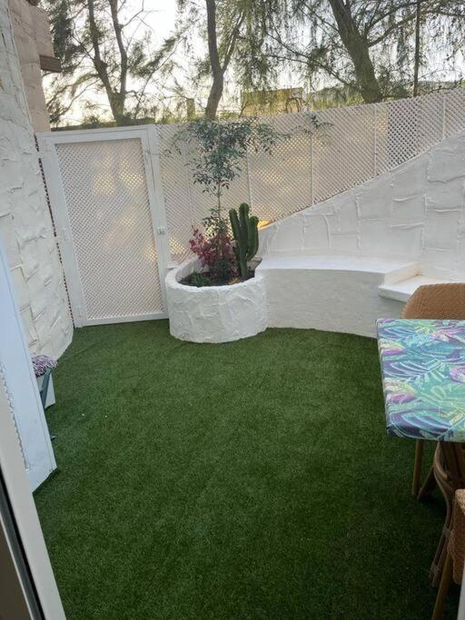 Casa Cactus Paraiso Parque Holandes Ngoại thất bức ảnh